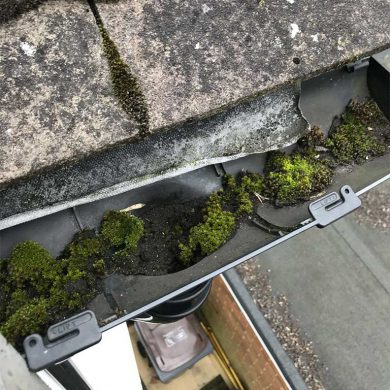 A gutter with moss in it.