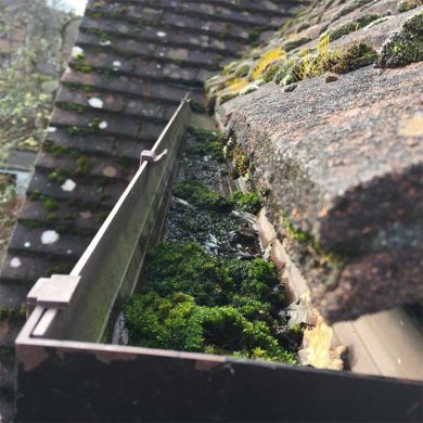 A gutter with moss in it.