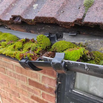 A gutter clogged with moss.