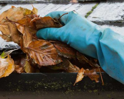 A gloved hand removing leaves from a gutter.