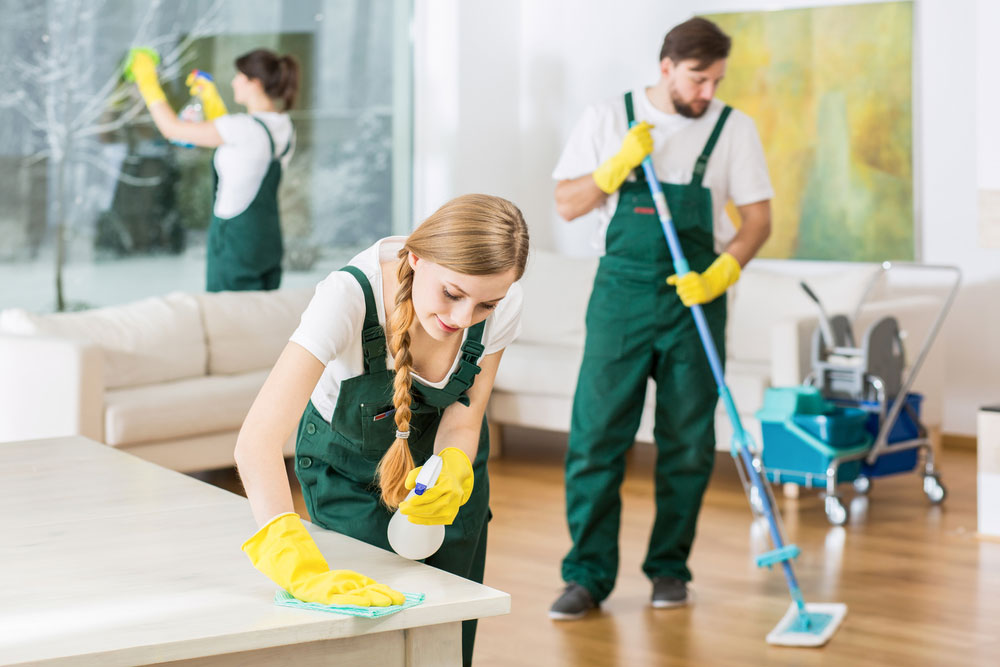 A team of professional cleaners cleaning a room.