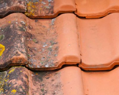 A tiled roof, half of which has been cleaned of the moss evident on the other half.