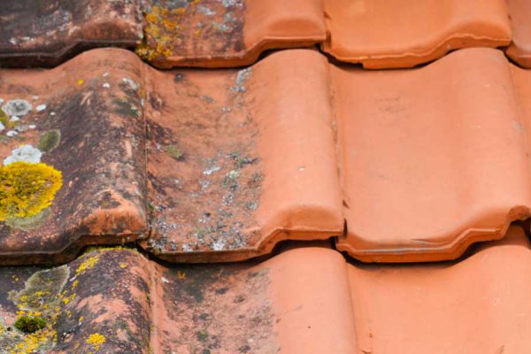 A tiled roof, half of which has been cleaned of the moss evident on the other half.