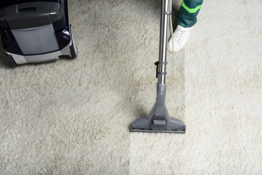 A carpet being vacuumed.
