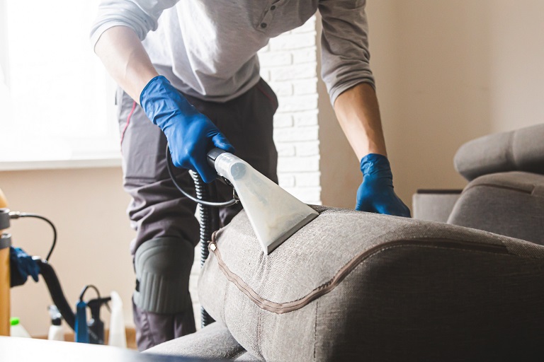 A sofa being professionally cleaned.