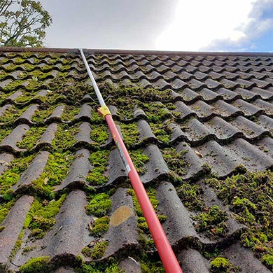 A roof covered in moss, being cleaned.